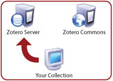 You will sync your metadata with the Zotero server